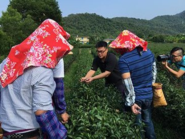 宜蘭找茶趣二日~步道、DIY、生態綠舟、夢幻莊園、